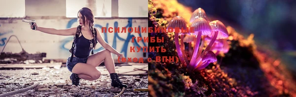 дмт Белокуриха