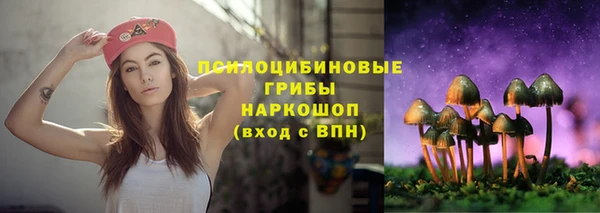 дживик Беломорск