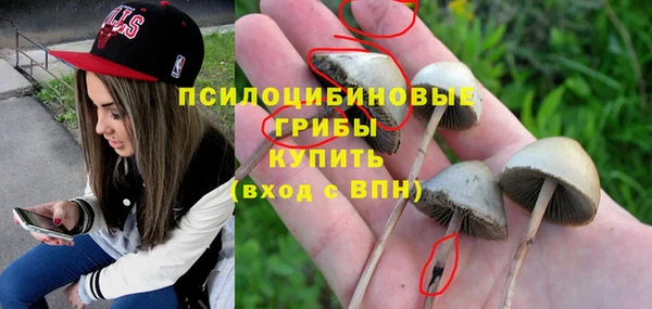 дмт Белокуриха