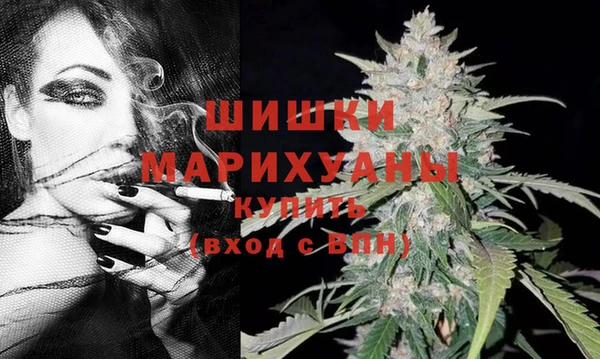 дмт Белокуриха