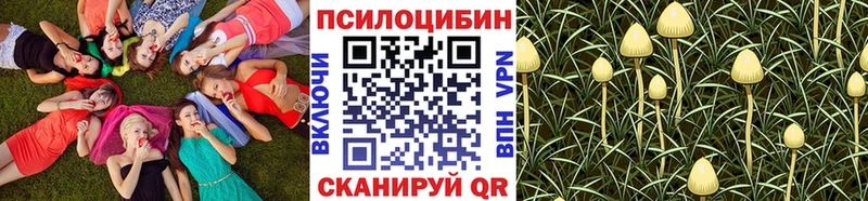 Галлюциногенные грибы Magic Shrooms  mega вход  даркнет официальный сайт  Буинск 