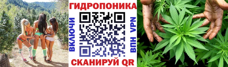 Каннабис THC 21%  гидра вход  Буинск  что такое наркотик 
